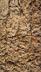 cotton towel background
