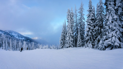 Winter landscape on the mountains with snow covered trees and ski runs on a nice winter day under beautiful skies at the village of Sun Peaks in the Shuswap Highlands of central British Columbia