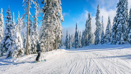 Woman on Skies enjoying the wonders of the winter landscape at Sun Peaks village in the Shuswap Highlands in central British Columbia, Canada