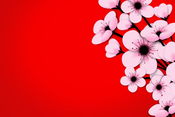 cherry blossom on red background