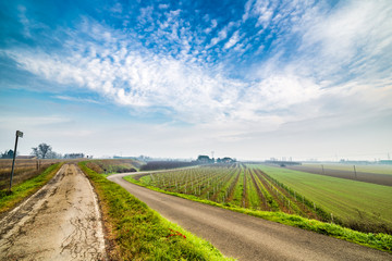 Naklejka premium A dirt road in the countryside