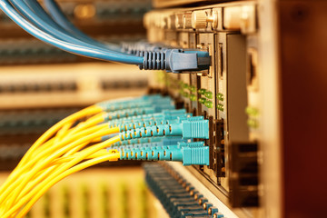 Fiber Optic cables connected to an optic ports and Network cable