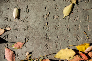 Chinese Characters carved in a stone