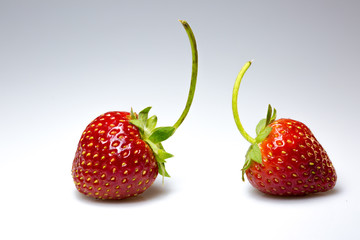 Double strawberry  isolated on white background