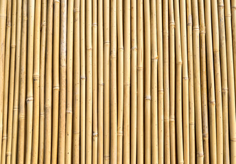 bamboo fence