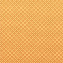 Fototapeta premium vector background (texture wafer)