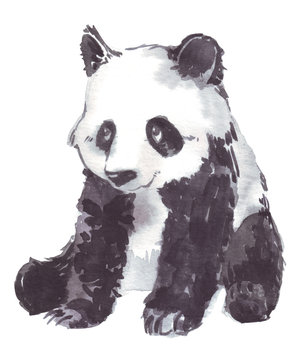 illustration drawing of a panda