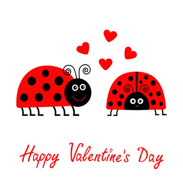 Happy Valentines Day. Love card. Two cartoon pink lady bug couple with hearts Flat design