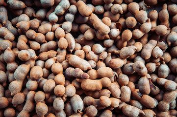Group of ripe tamarind pods 