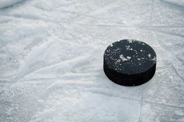 Fototapeten Hockey puck on ice hockey rink © juliasudnitskaya