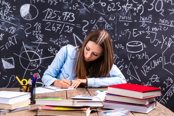 Beautiful student doing homework