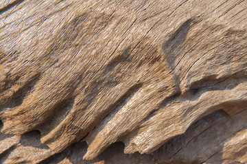wood texture