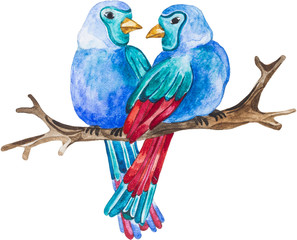 Watercolor Love Birds