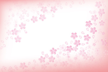 Fototapeta na wymiar 桜の背景素材
