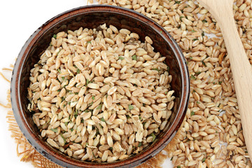 farro crudo preparato per risotto e zuppa