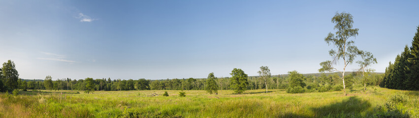 Fototapeta na wymiar Landscape Panorama In The High Fens, Belgium