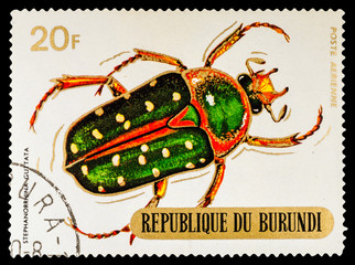BURUNDI - CIRCA 1970: A stamp printed in Burundi shows Beetles, series animals, circa 1970