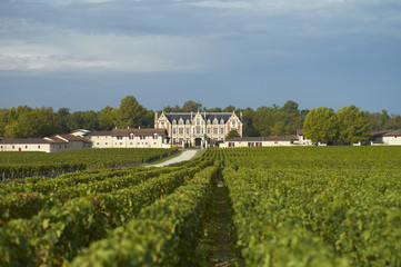 Fototapeta na wymiar Chateau Cantenac-Brown, Margaux, Bordeaux