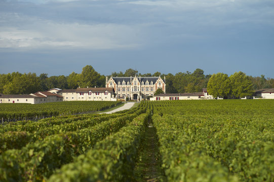 Fototapeta Chateau Cantenac-Brown, Margaux, Bordeaux