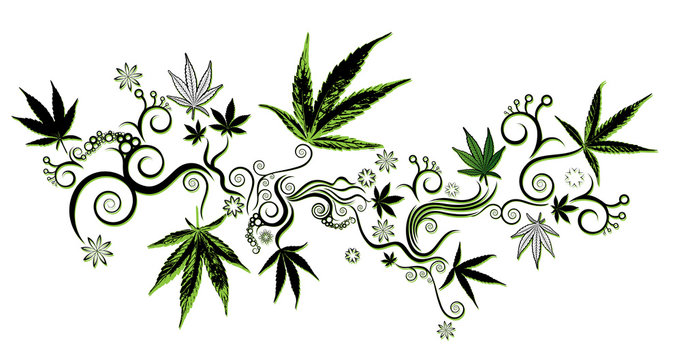 marijuana cannabis leaf symbol background vector illustration