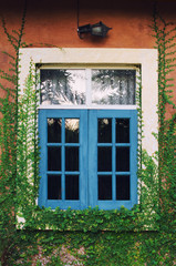 Fototapeta na wymiar Vintage window with small leaves.