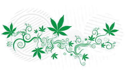 marijuana leaf texture background