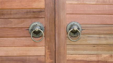 Thai style lion door knob background