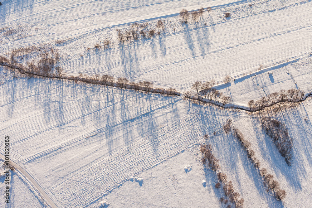 Wall mural aerial view over the harvest fields in winter