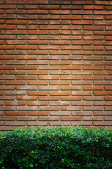 old brick wall with green grass background