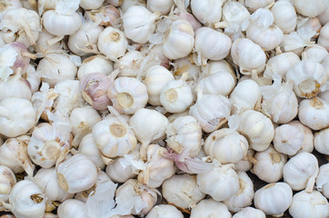 white garlic