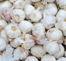 white garlic