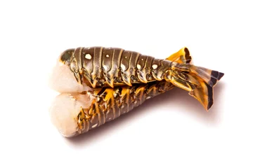 Foto op Aluminium Raw Caribbean rock lobster tails isolated on a white studio back © Edward Westmacott