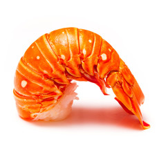 Cooked tropical Caribbean lobster (Panuliirus argus) or spiny lobster tail isolated on a white...
