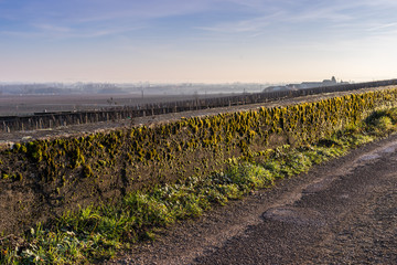 Fototapeta na wymiar muret du vignoble bourguignon