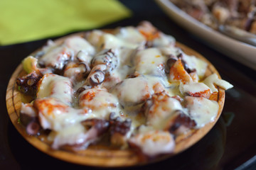 Pulpo 