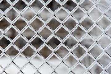 Grid with square cells in snow