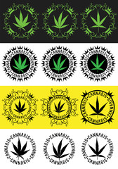 marijuana cannabis green leaf vector illustration