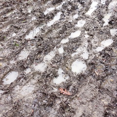 Muddy Path
