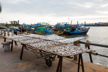 Fototapeta na wymiar Fische am trocknen in Phan Thiet in Vietnam
