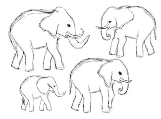 outlines of hand-drawn black and white elephants