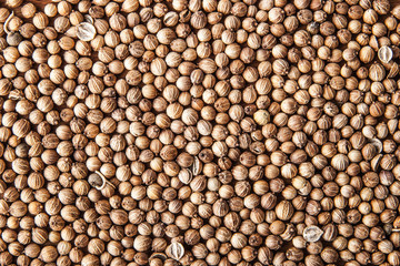 Coriander seed background close-up