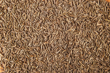 Caraway seeds background