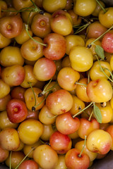 Freshly Picked Cherries