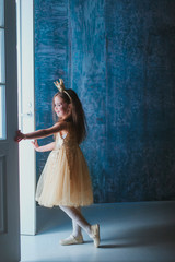 A child dressed as a princess