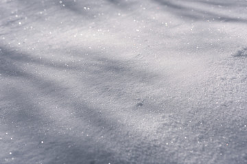 Obraz premium White snow surface in a forest