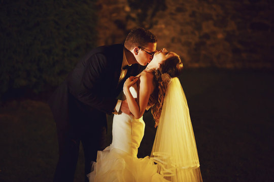 adorning elegant fashion groom and bride is kissing  on the back
