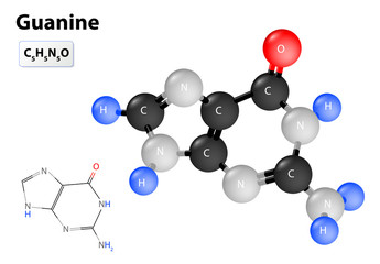 guanine molecule