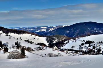 Fototapeta premium Schwarzwald im Winter