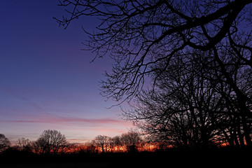 Colorful Dawn Sky