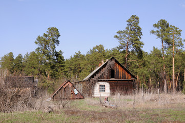 Fototapeta premium Abandoned wooden house